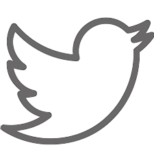 twitter logo for website